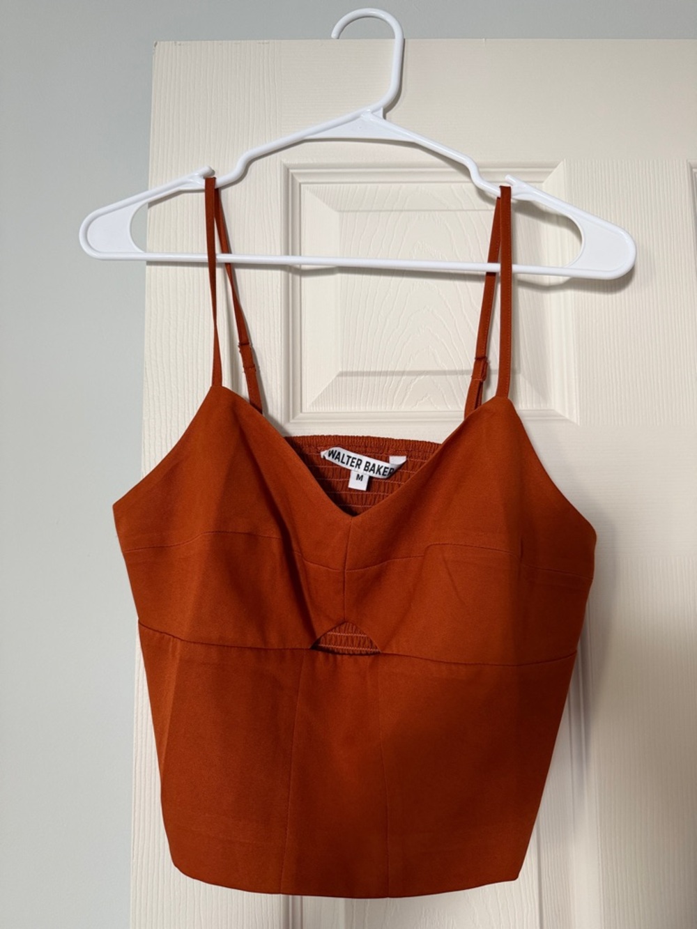 Walter Baker Rust Orange Fitted Cropped Tank